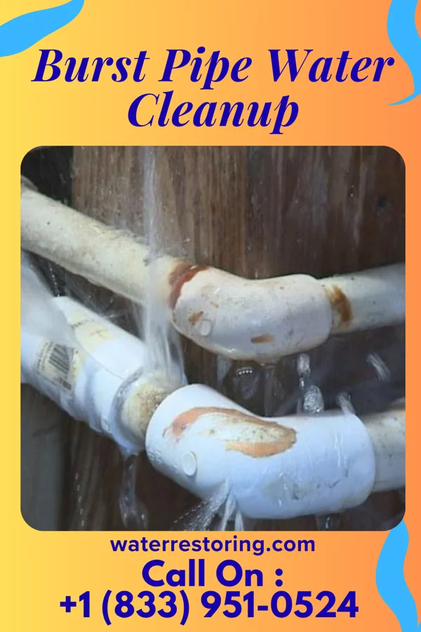 Burst Pipe Water Cleanup in St. Vincent College, PA