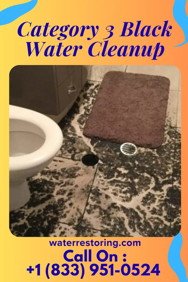 Category 3 Black Water Cleanup in St. Vincent College, PA
