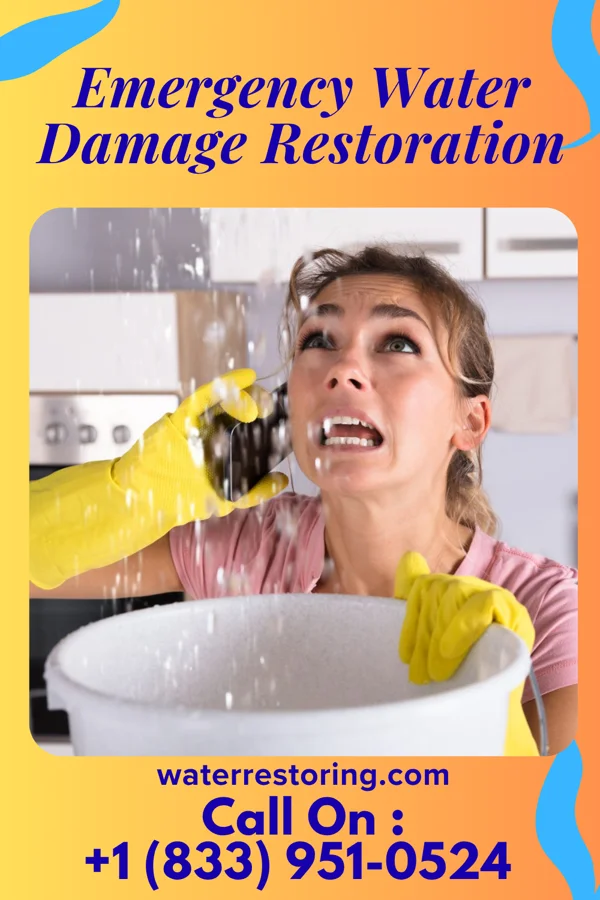 Emergency Water Damage Restoration in St. Vincent College, PA
