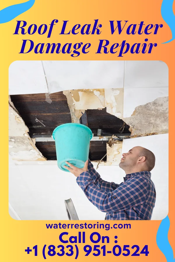 Roof Leak Water Damage Repair in St. Vincent College, PA