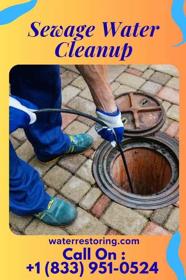 Sewage Water Cleanup in St. Vincent College, PA