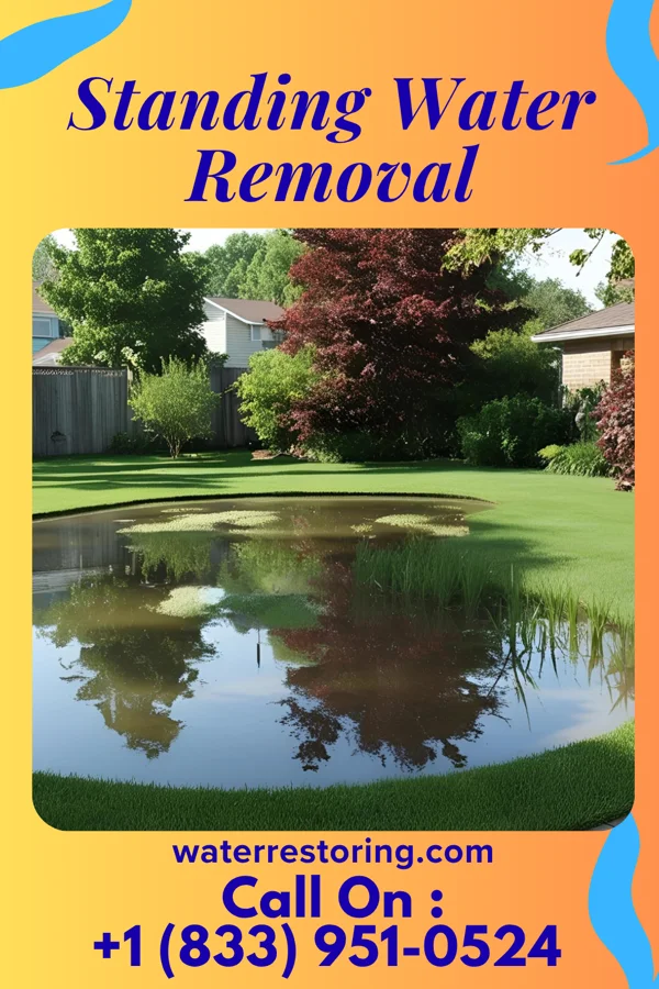 Standing Water Removal in St. Vincent College, PA